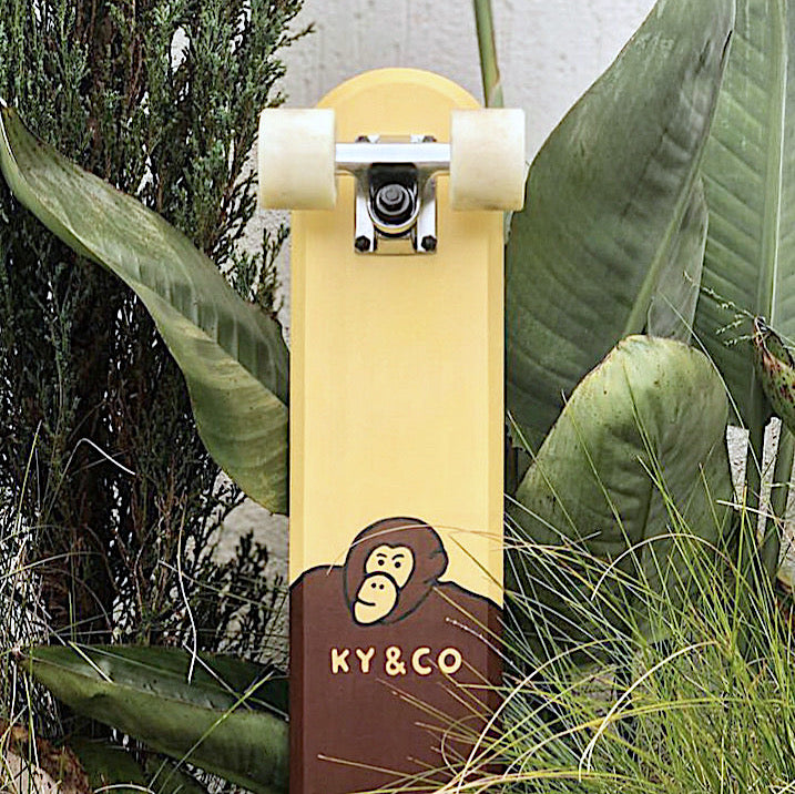 36 - Ky&CO
